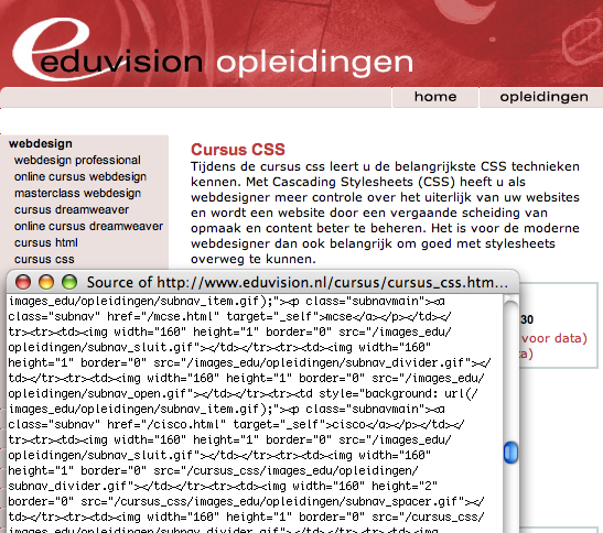 Eduvision css