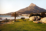 The Beach at Table Bay